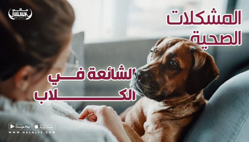المشكلات الصحية الشائعة في الكلاب